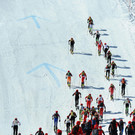 file63xuf1pt49165xcd36i.jpg