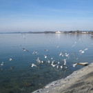 Kaiserstrand genie__en Maerz 2012 _6__jpg-1331453282