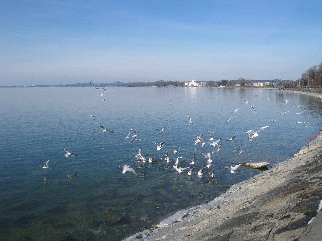 Kaiserstrand genie__en Maerz 2012 _6__jpg-1331453282