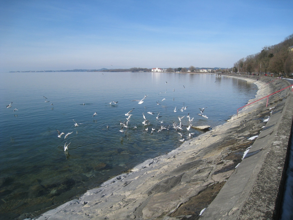 Kaiserstrand genie__en Maerz 2012 _7__jpg-1331453286