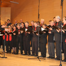 IMG_3740_jpg-1331456443