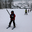 koe_schirennen-Hard25.jpg