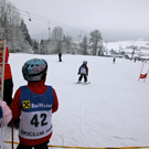 koe_schirennen-Hard30.jpg