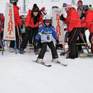 koe_schirennen-Hard35.jpg