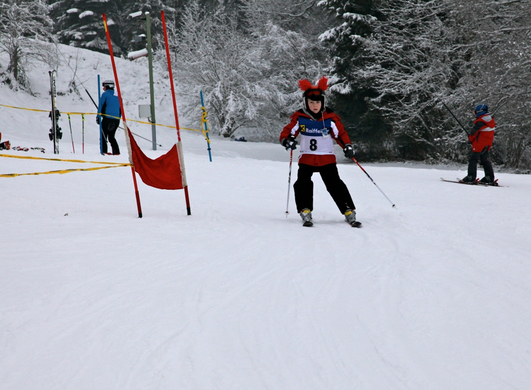 koe_schirennen-Hard37.jpg