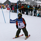 koe_schirennen-Hard40.jpg