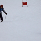 koe_schirennen-Hard43.jpg