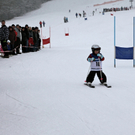 koe_schirennen-Hard50.jpg