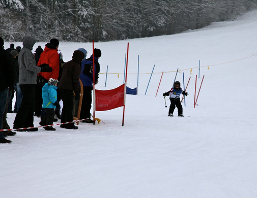 koe_schirennen-Hard53.jpg