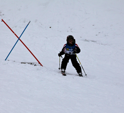 koe_schirennen-Hard54.jpg