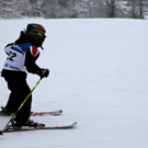 koe_schirennen-Hard60.jpg