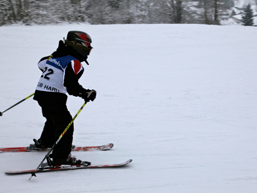 koe_schirennen-Hard60.jpg