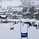 koe_schirennen-Hard63.jpg