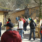 normal_10032012fmt_tiergarten_ta_004.jpg