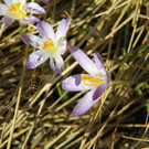 normal_10032012fmt_tiergarten_ta_027.jpg