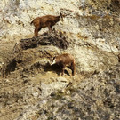 normal_10032012fmt_tiergarten_ta_036.jpg