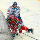 export__15_von_20_.jpg