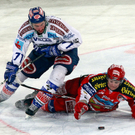 export__19_von_20_.jpg