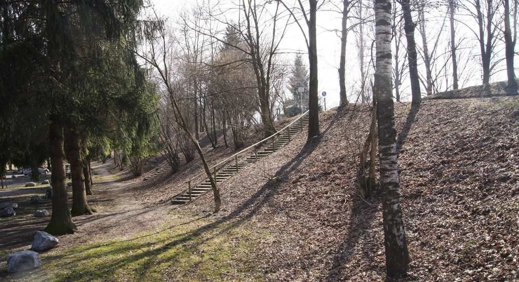 DSC09304.JPG