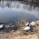 DSC09309.JPG