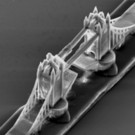 3D_Tower_Bridge.jpg