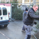 DSCN1094_jpg-1331571004