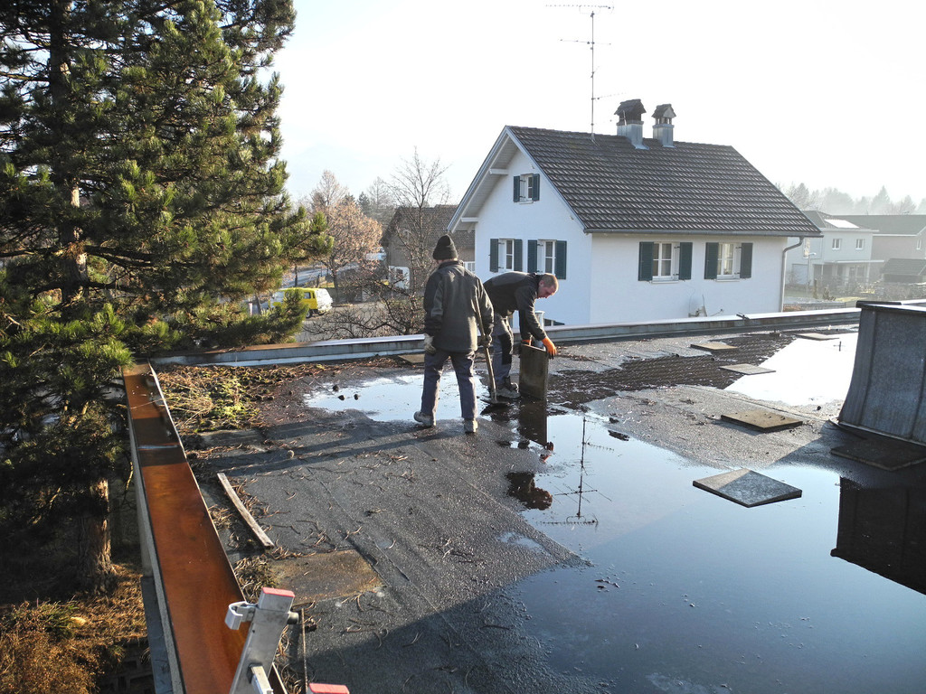 DSCN1088_jpg-1331570880