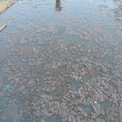 DSCN1091_JPG-1331570961