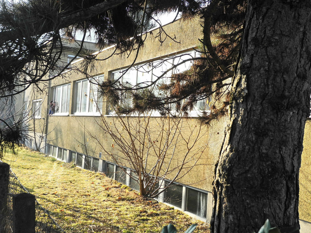 DSCN1095_jpg-1331571032