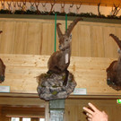 DSC09918.JPG