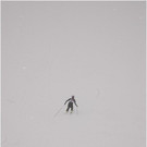 20120311_hahnenk__pflelauf_rennen_130_luc.JPG