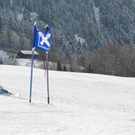 DSC_6294.jpg
