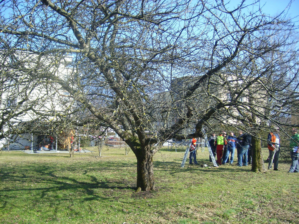 STP61595.JPG