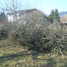 STP61609.JPG