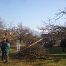 STP61610.JPG