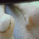 113_9579_JPG-1331591757