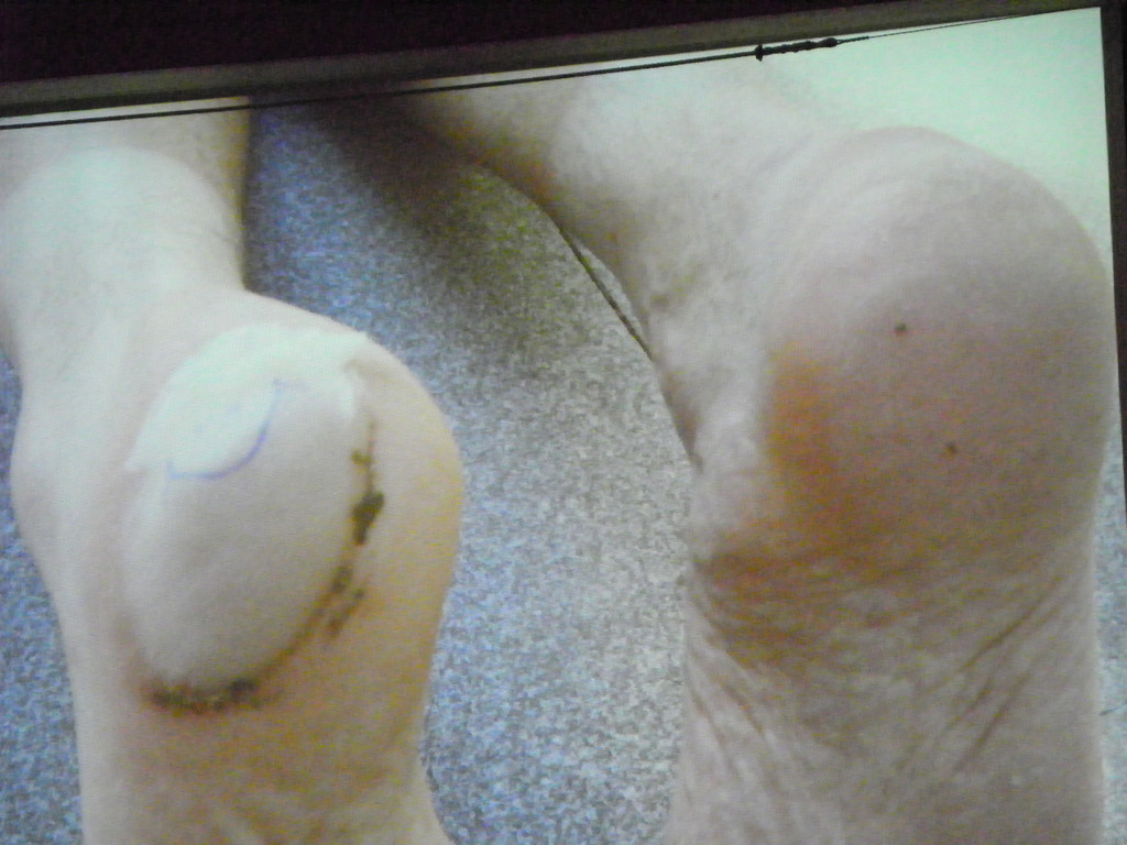 113_9579_JPG-1331591757