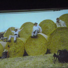 113_9580_JPG-1331591763