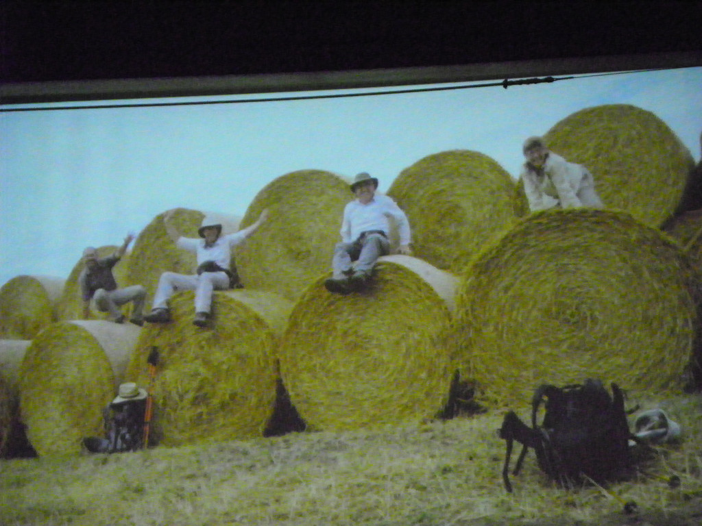 113_9580_JPG-1331591763