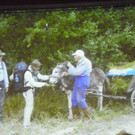 113_9591_JPG-1331591793