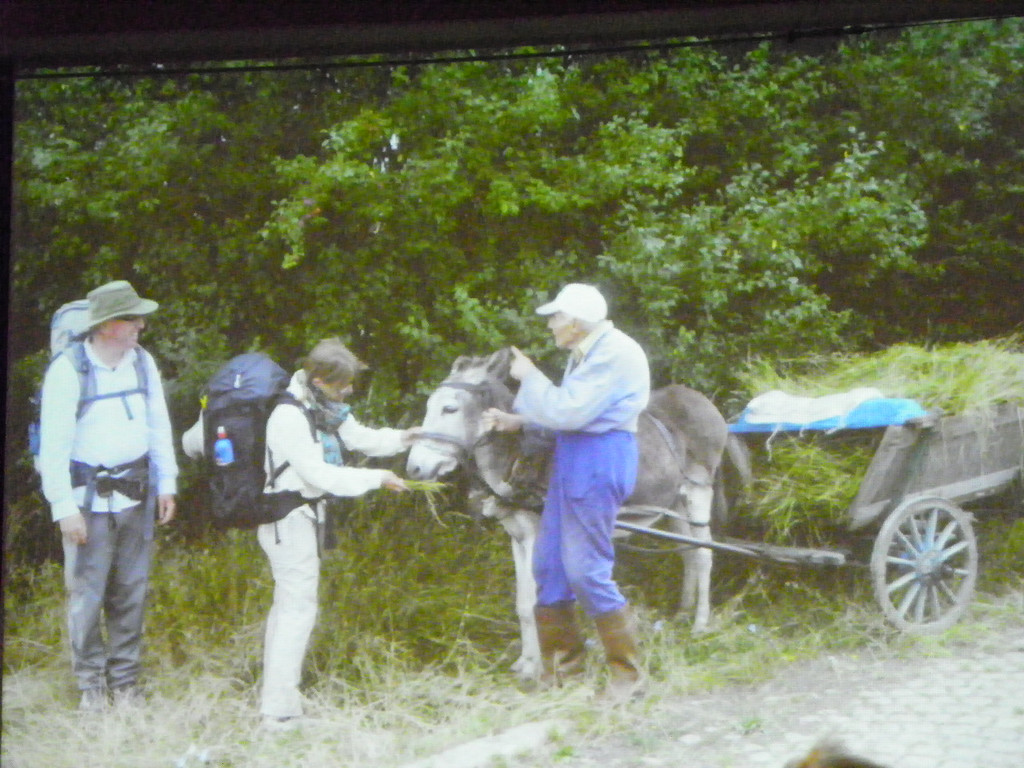 113_9591_JPG-1331591793