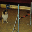 M__rz 14 023.JPG