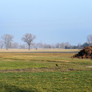 Rinnsaal_ H__chst 13_03_2012 12_jpg-1331647031