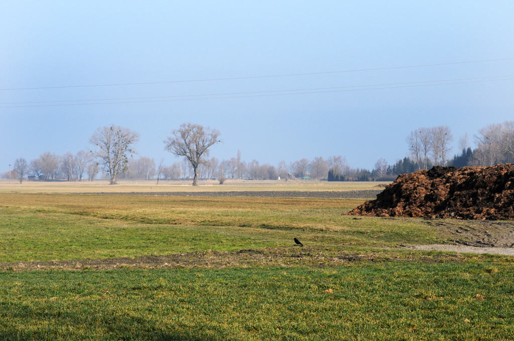 Rinnsaal_ H__chst 13_03_2012 12_jpg-1331647031