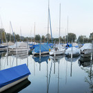 Hafen H__chst 2_jpg-1331647005