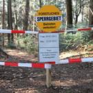 KOE_Forstarbeiten G__fis 2_jpg-1331661528