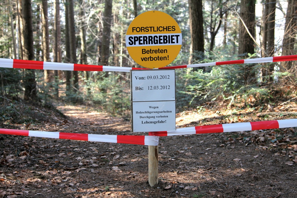 KOE_Forstarbeiten G__fis 2_jpg-1331661528