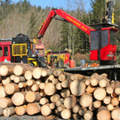 KOE_Forstarbeiten G__fis 4_jpg-1331661550