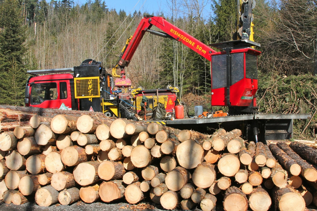 KOE_Forstarbeiten G__fis 4_jpg-1331661550