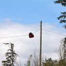 KOE_Forstarbeiten G__fis 16_jpg-1331661690